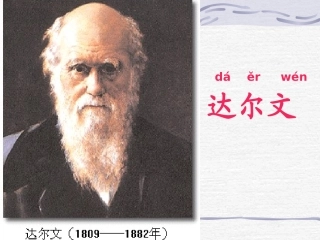 有趣的发现第一课时