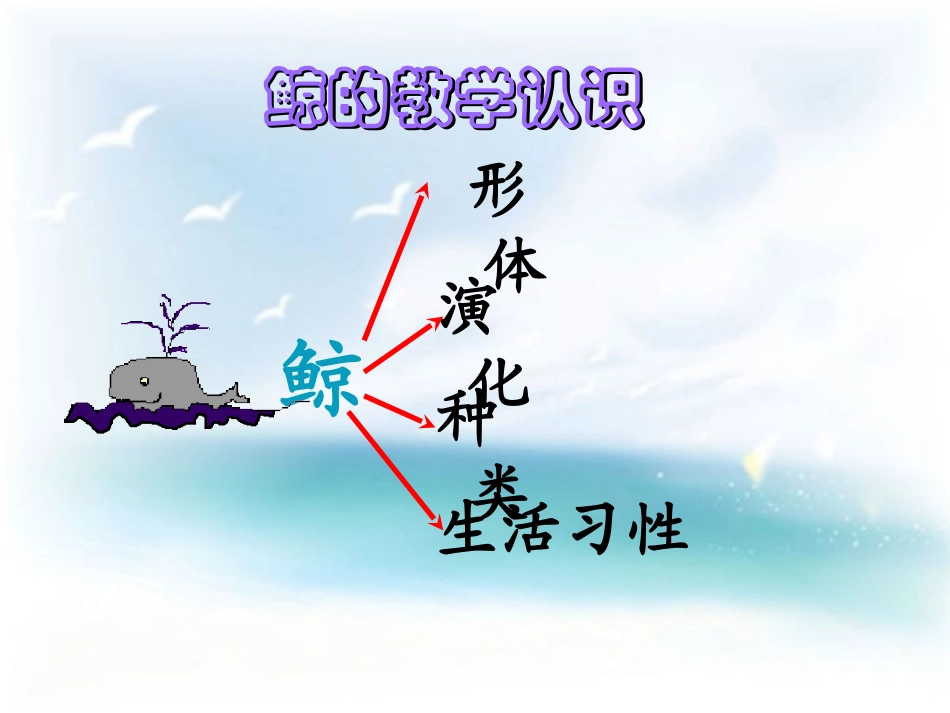 《鲸》课件李坤刚_第2页