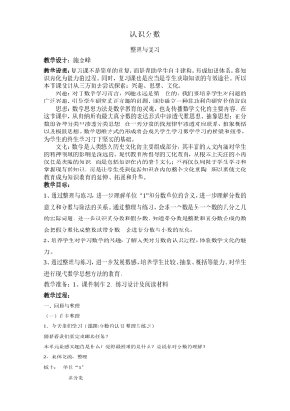 认识分数整理与复习施金峰