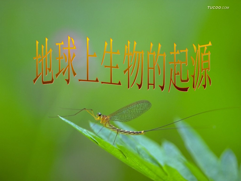 地球上生命的起源_第1页