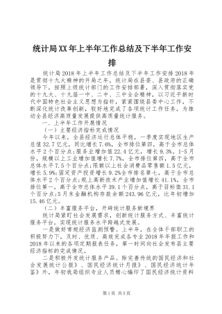 统计局XX年上半年工作总结及下半年工作安排 