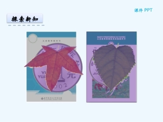 小学数学北师大2011课标版三年级什么是面积-(2)