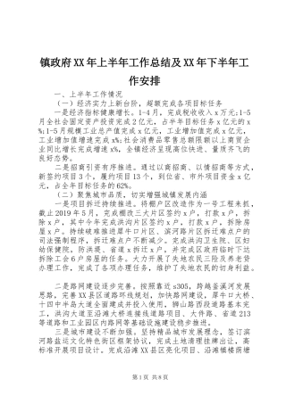 镇政府XX年上半年工作总结及XX年下半年工作安排 