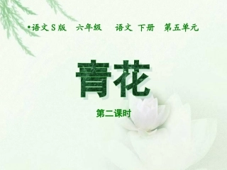 （语文S版）六年级语文下册课件青花1第一课时