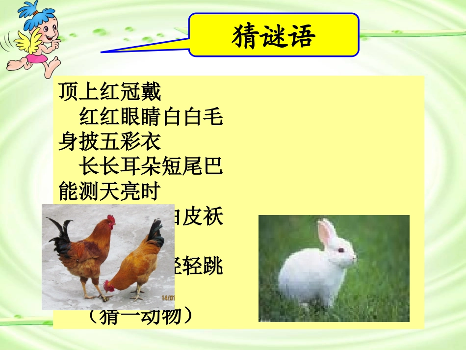 鸡兔同笼（新）_第2页