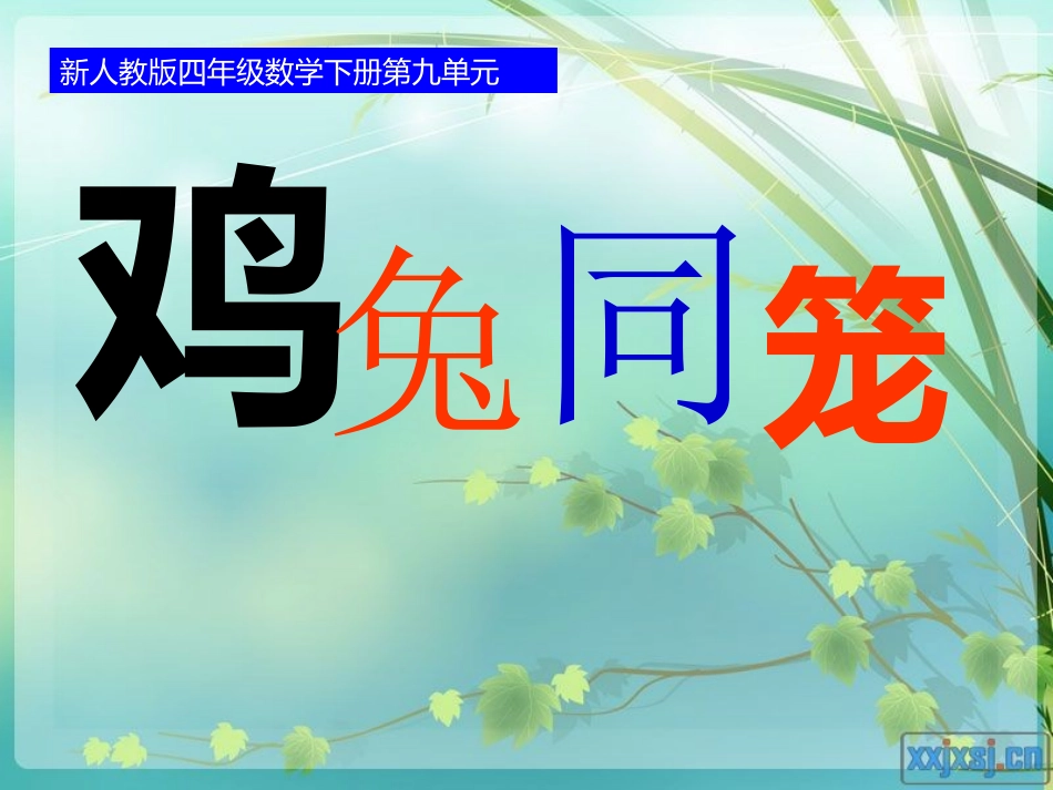 鸡兔同笼（新）_第3页