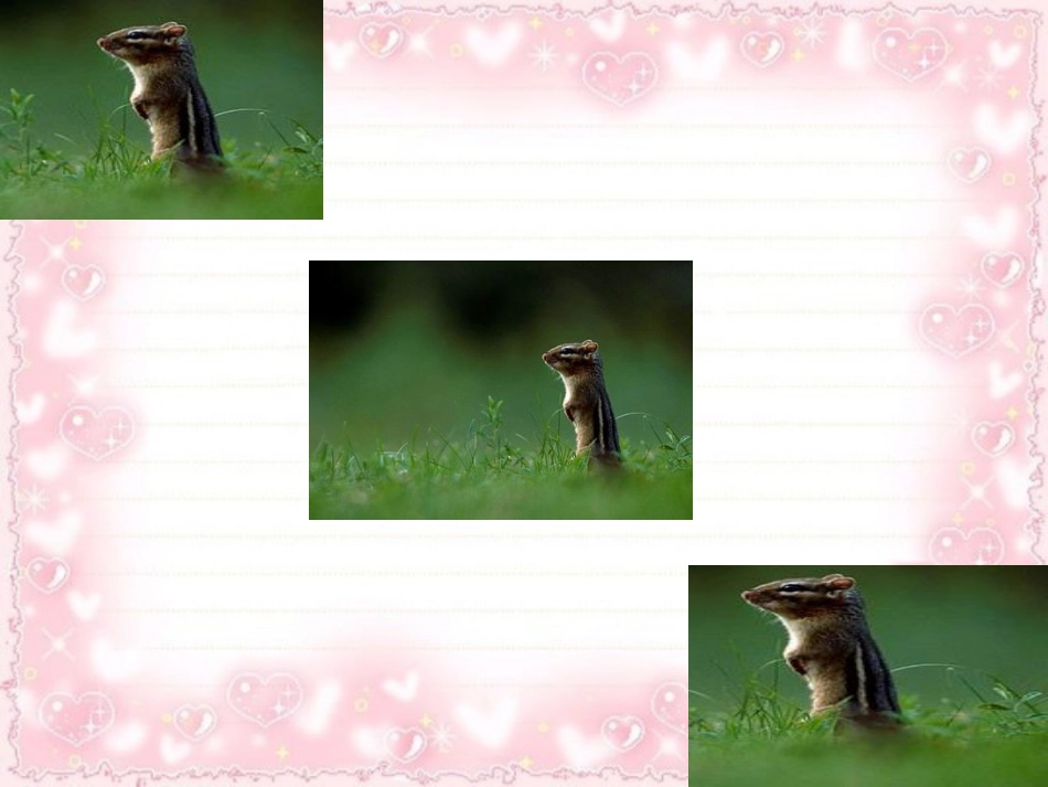 黄金分割李维良_第3页