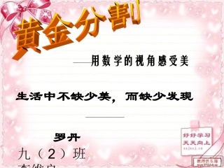 黄金分割李维良