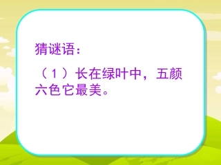 鲜花和星星 课件