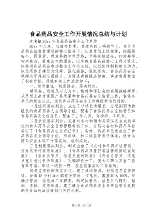 食品药品安全工作开展情况总结与计划 