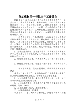 黄尔庄村第一书记三年工作计划 
