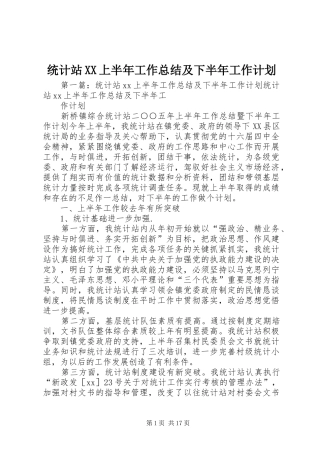 统计站XX上半年工作总结及下半年工作计划 