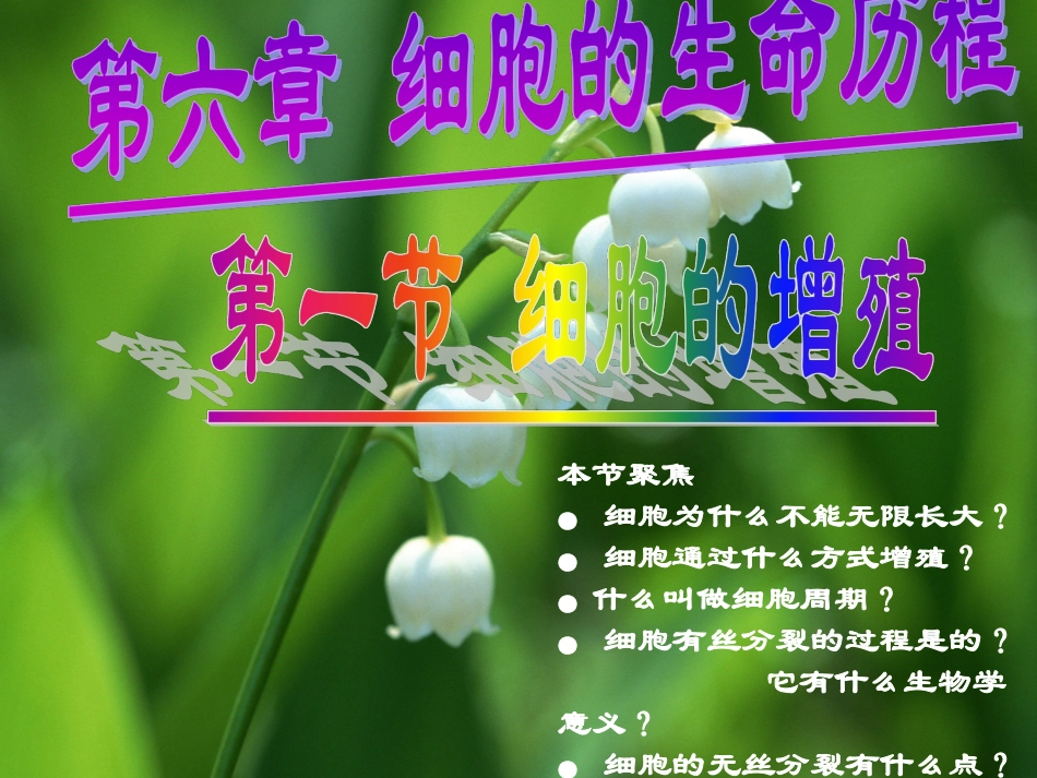 高中生物人教版必修一第6章第1节细胞的增殖课件_第1页