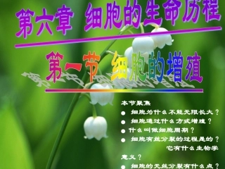 高中生物人教版必修一第6章第1节细胞的增殖课件