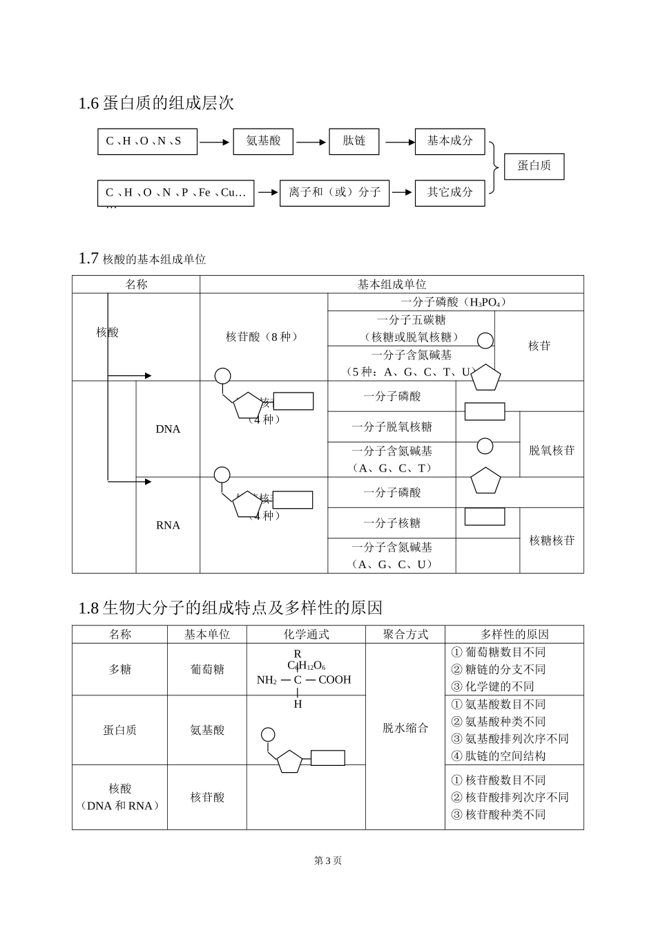 高三生物第一轮复习知识结构网络_第3页