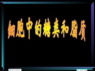 高一生物糖类和脂质