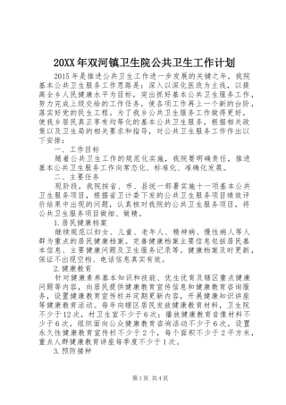 20XX年双河镇卫生院公共卫生工作计划 (4)