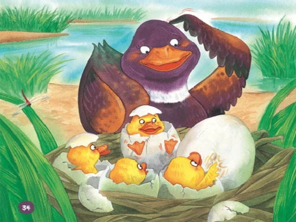 预备班第一课时课件 (2)_第2页