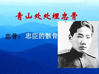 青山处处埋忠骨3