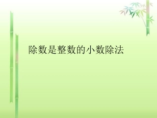 除数是整数的小数学案
