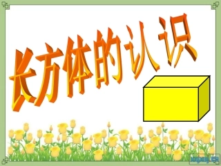长方体的认识 (3)