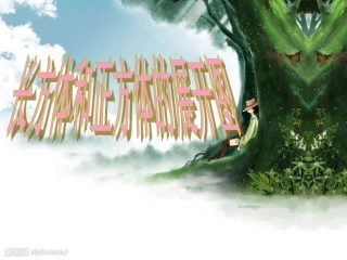 长方体正方体展开图