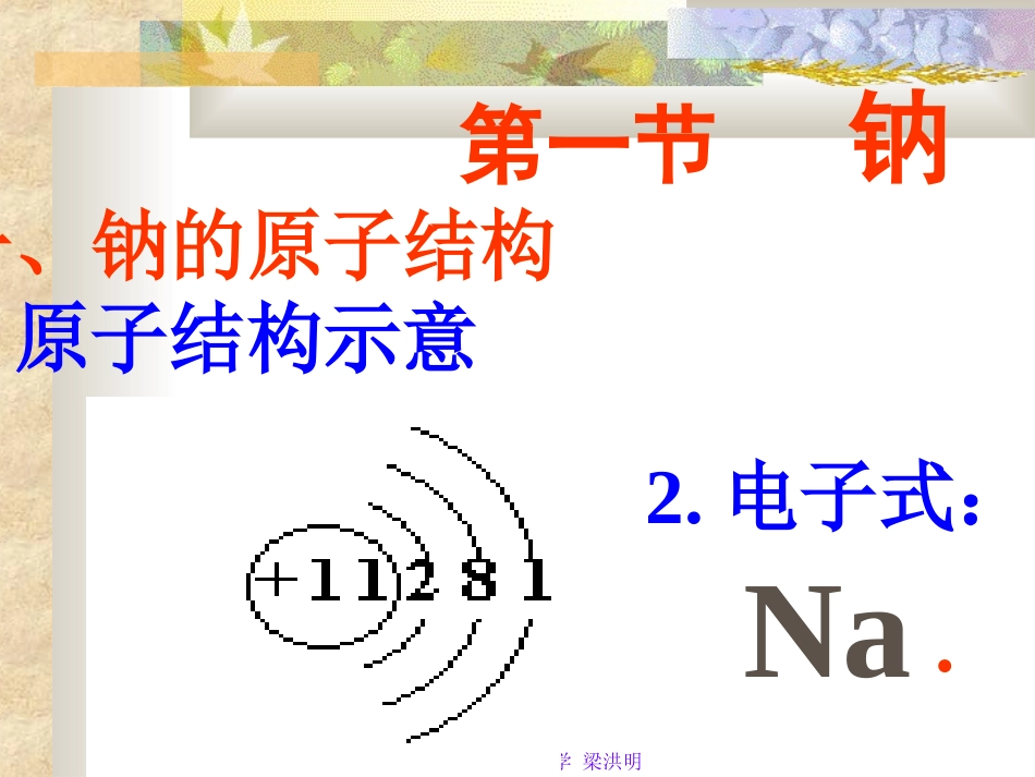 钠完整课件一_第2页