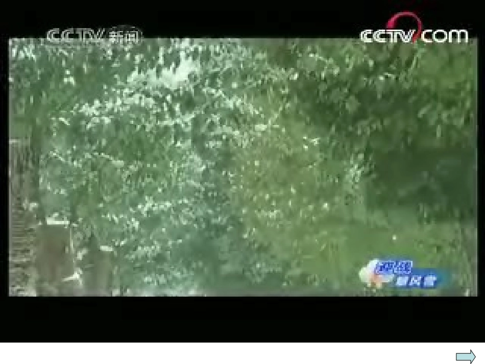 都有一份爱(3)_第3页