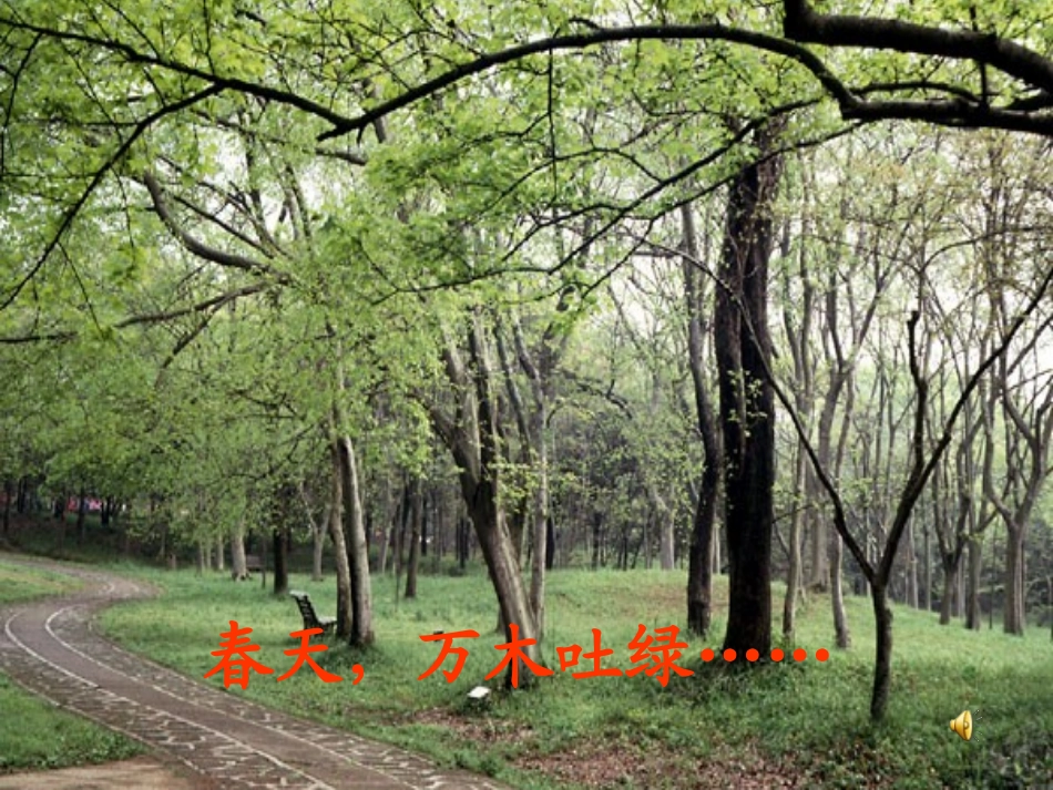 鄂教版一年级下册《春晓》_第1页