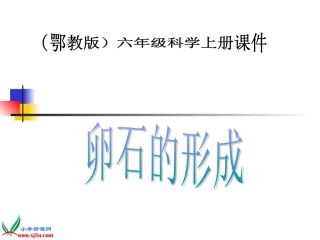 鄂教版小学科学六年级上册《卵石的形成》课件