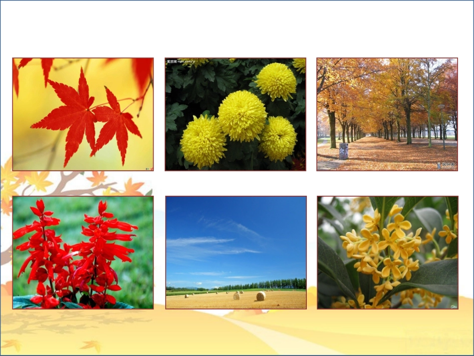 鄂教版二年级语文秋天的色彩_(作文课件)(1)_第2页