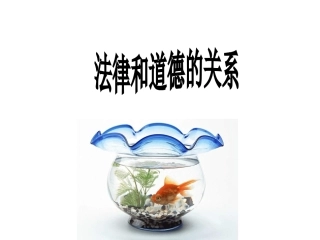 道德与法律的关系