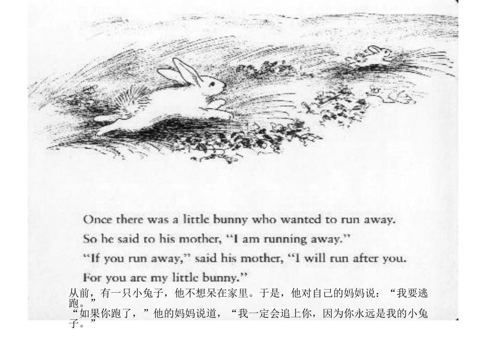逃家小兔 (2)_第2页