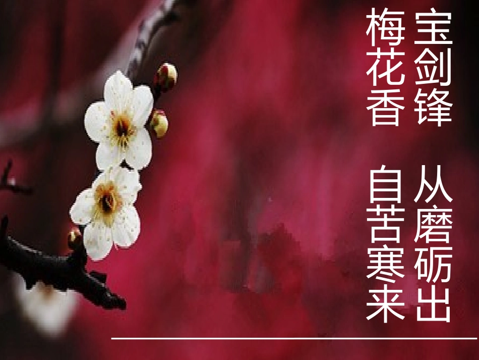 近代社会生活_第1页