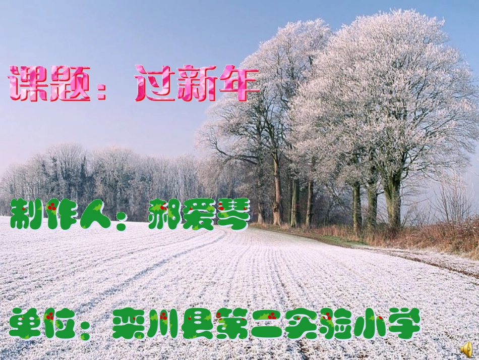 过新年 (2)_第1页