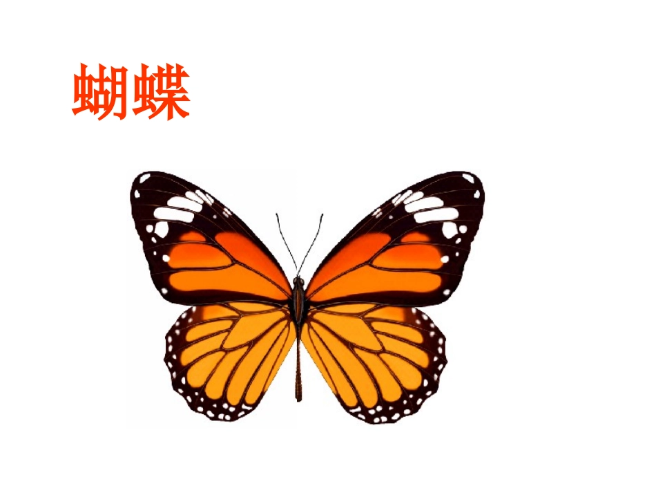 轴对称与轴对称图形 (2)_第2页