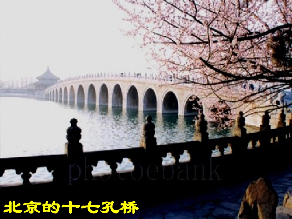 赵州桥课件 课件_第2页