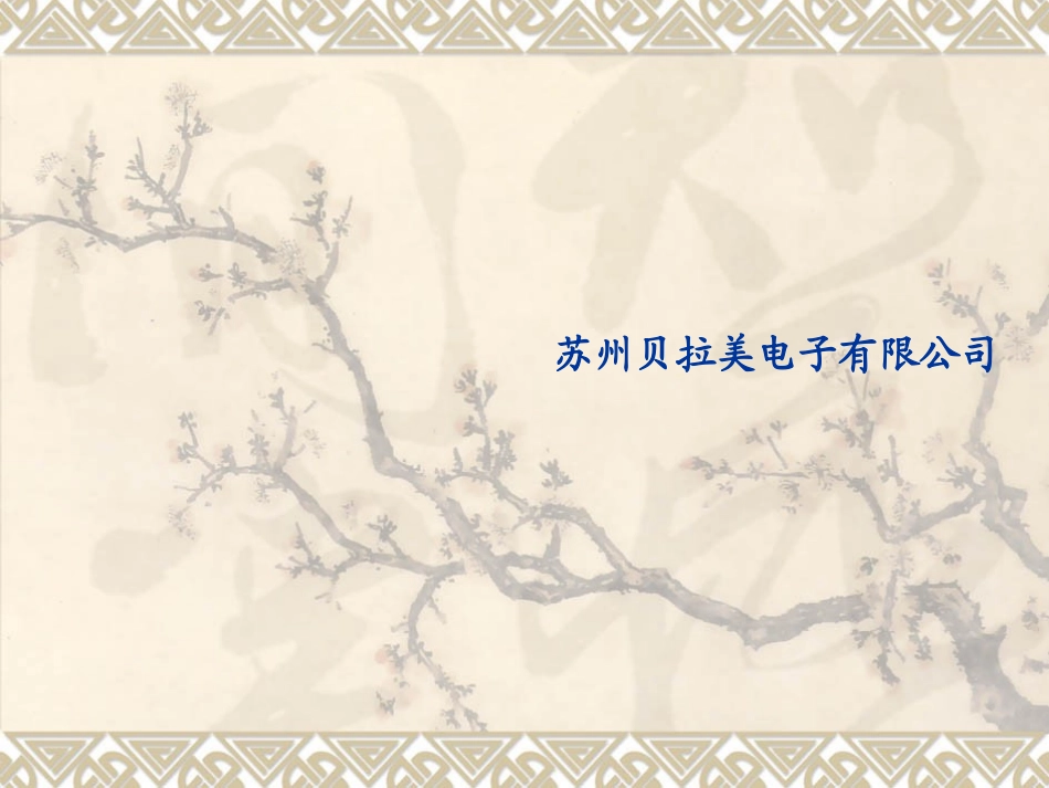 贝拉美公司简介_第1页