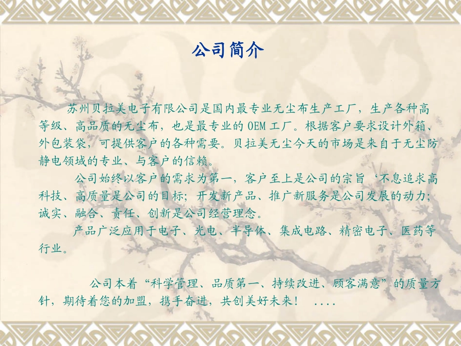 贝拉美公司简介_第2页