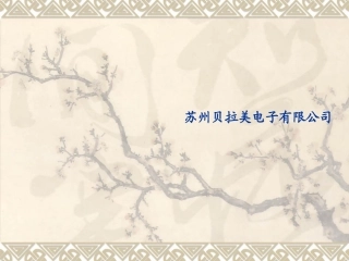 贝拉美公司简介