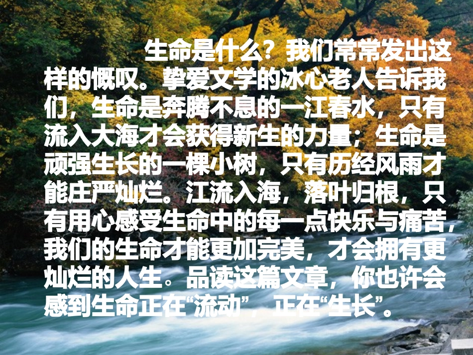 谈生命课件12_第1页