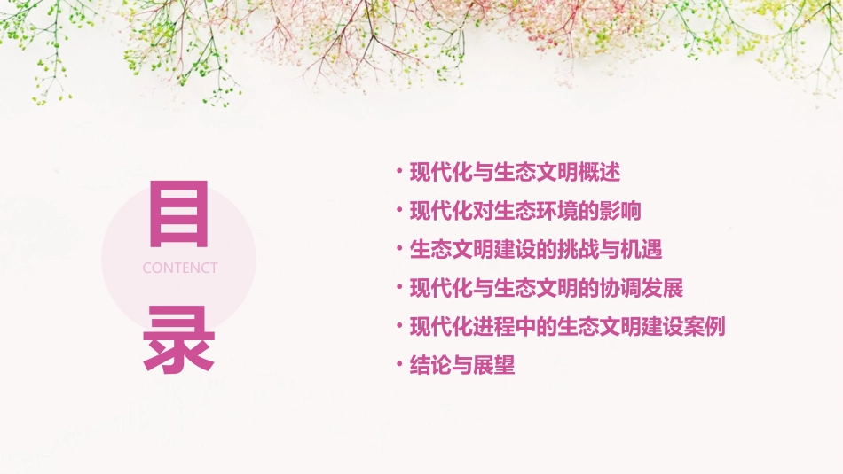 现代化与生态文明的冲突课件_第2页