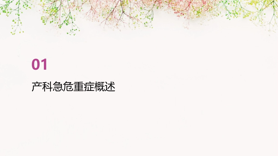 产科急危重症急救流程课件_第3页