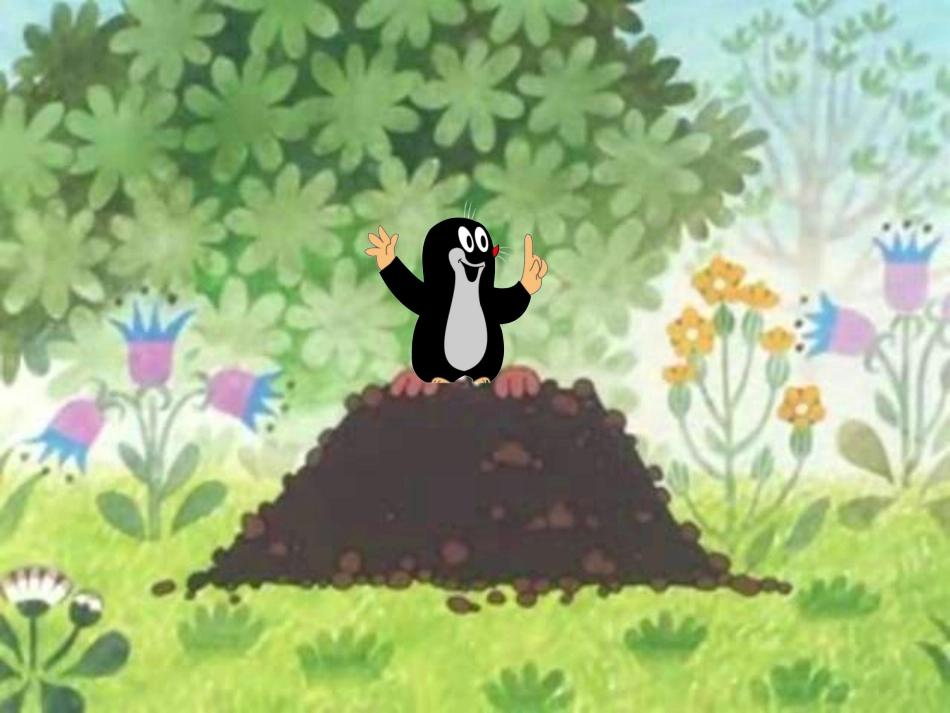 语言《啪啦啪啦碰》_第2页