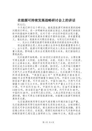 在能源可持续发展战略研讨会上的讲话