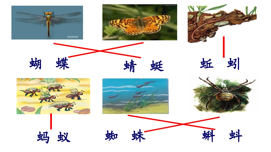 识字四第2课时_第3页