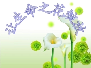 让生命之花绽放2(1)