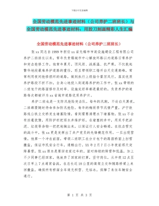 全国劳动模范先进事迹材料与全国劳动模范先进事迹材料：用胶刀刻画精彩人生汇编