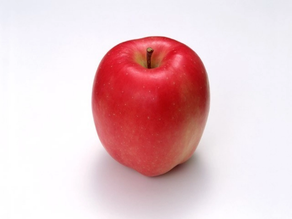 认识生活中常见的物品_第2页