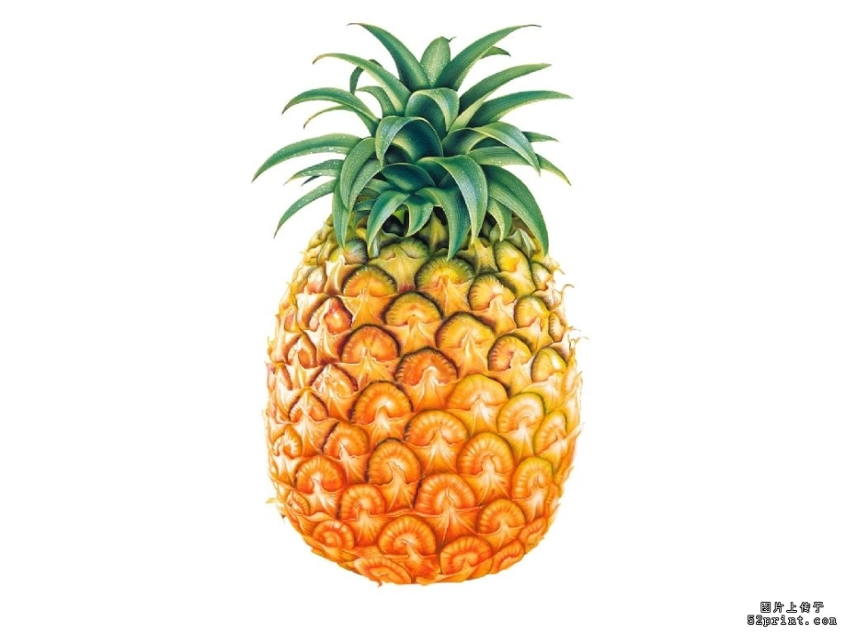 认识生活中常见的物品_第3页